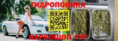 ешки Волжск