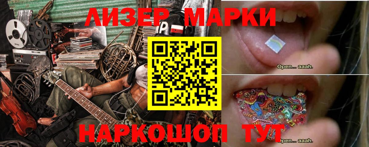 блэк спрут сайт  ЛСД экстази кислота  Новозыбков  Вход с VPN  LSD-25 экстази ecstasy 
